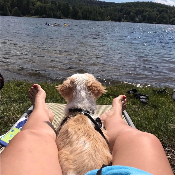 Meet your Posher, Sim - Picture 3 of 6